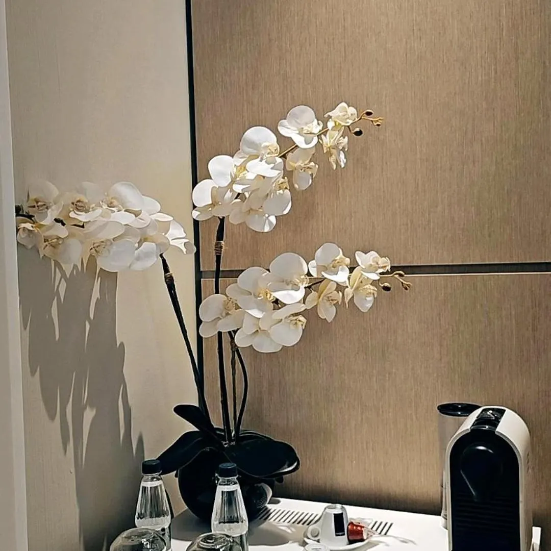 Lake Drive Rooms&Apartments Tirana Aparthotel